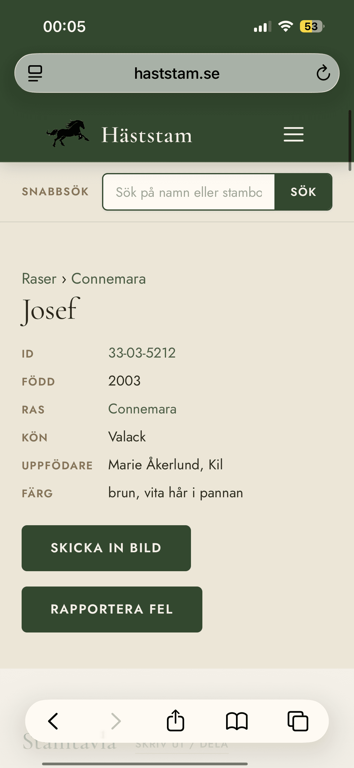 Söker info om Connemaran Josef